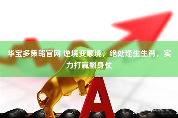 华宝多策略官网 逆境变顺境，绝处逢生生肖，实力打赢翻身仗