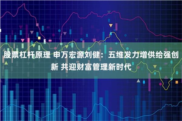 股票杠杆原理 申万宏源刘健：五维发力增供给强创新 共迎财富管理新时代