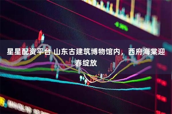 星星配资平台 山东古建筑博物馆内，西府海棠迎春绽放