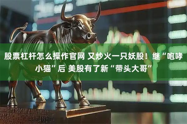股票杠杆怎么操作官网 又炒火一只妖股！继“咆哮小猫”后 美股有了新“带头大哥”