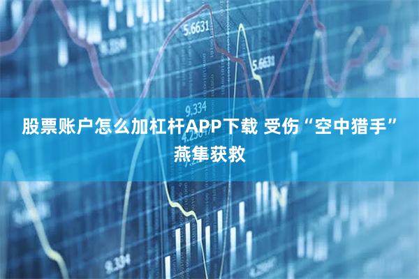 股票账户怎么加杠杆APP下载 受伤“空中猎手”燕隼获救
