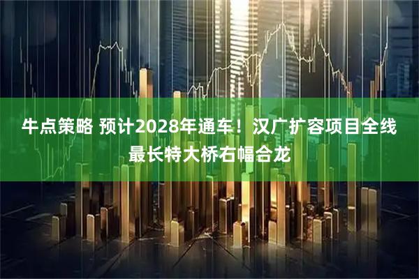 牛点策略 预计2028年通车！汉广扩容项目全线最长特大桥右幅合龙