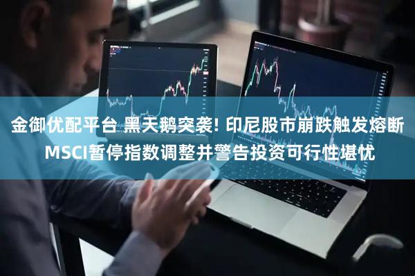 金御优配平台 黑天鹅突袭! 印尼股市崩跌触发熔断 MSCI暂停指数调整并警告投资可行性堪忧