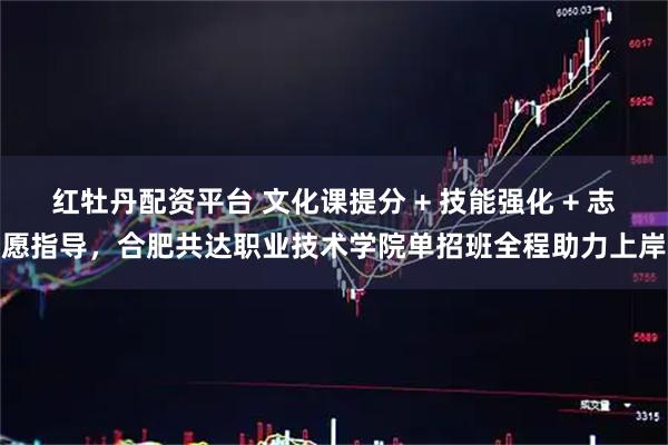 红牡丹配资平台 文化课提分 + 技能强化 + 志愿指导，合肥共达职业技术学院单招班全程助力上岸