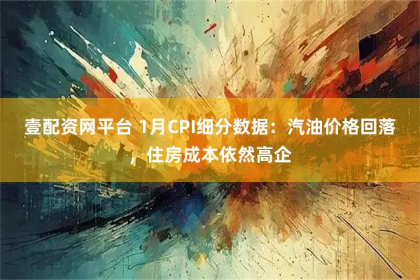 壹配资网平台 1月CPI细分数据：汽油价格回落，住房成本依然高企